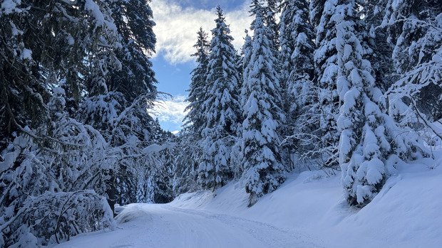 Bonnes conditions sur Chanrossa 