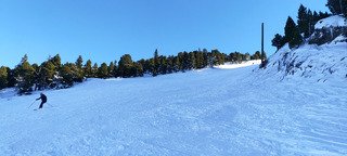 Bon et frais puis limite collant