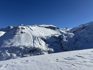 Une reprise réussie !