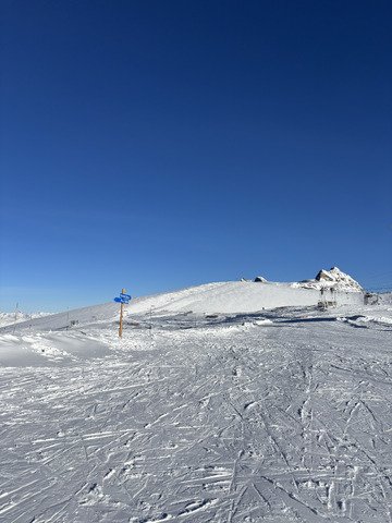 Une reprise réussie !