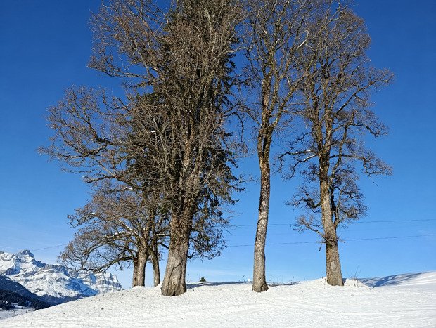 Randonnée autour de Megève