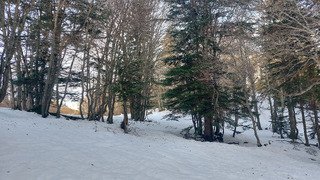 Ski de printemps en d&eacute;cembre 