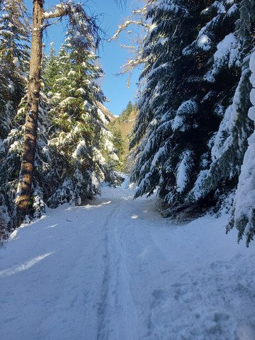 Vraiment pas terrible 