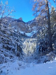 Vraiment pas terrible 