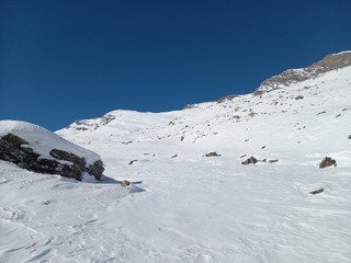 Vraiment pas terrible 