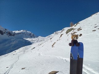 Vraiment pas terrible 