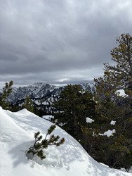 Il y en a vraiment beaucoup !! ❄️ 