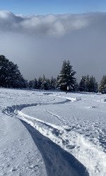 Déjeuner poudreux sur un Chamechaude nébuleux 