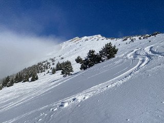 Déjeuner poudreux sur un Chamechaude nébuleux 