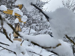 Déjeuner poudreux sur un Chamechaude nébuleux 