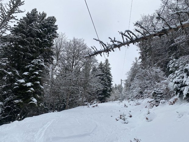 Déjeuner poudreux sur un Chamechaude nébuleux 