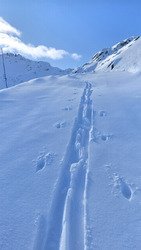 Un petit supplément ce jeudi 