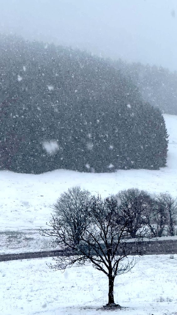 Forte neige depuis ce matin a basse altitude 