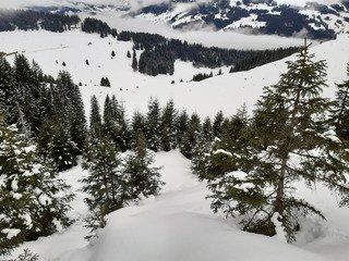 On y voit rien qu'en y voyant qu'on y voit rien