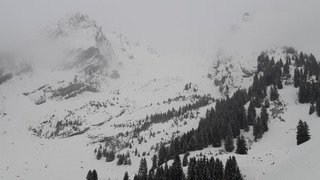 On y voit rien qu'en y voyant qu'on y voit rien