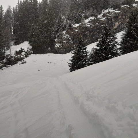 On y voit rien qu'en y voyant qu'on y voit rien