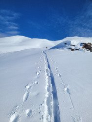 Une 2e pour être sûr.