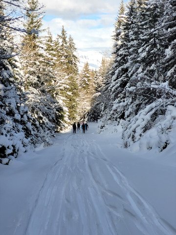 Une 2e pour être sûr.