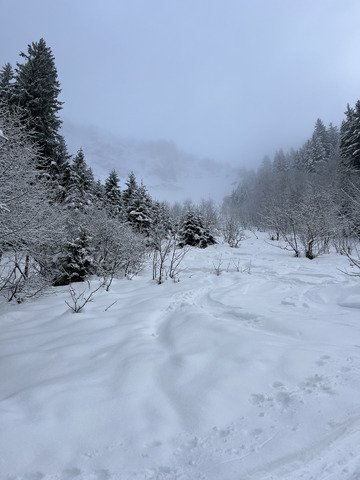 De la poudre dans le nuage