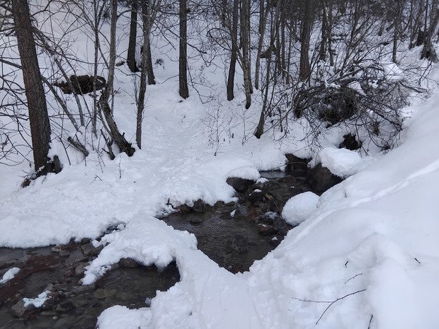 Bracage, et impatience