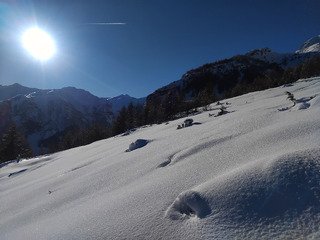 Bracage, et impatience