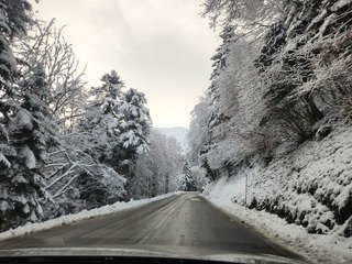 Beau ne veut pas dire Bon !