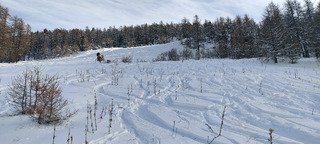 Bon voire très bon... si on est à l'écart de la foule