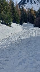 ski de printemps en décembre n° 2