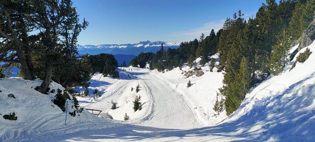 Top carving au soleil ☀️