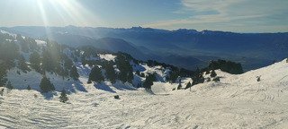 Top carving au soleil ☀️