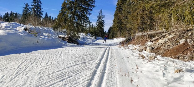 Le ski de fond résiste bien