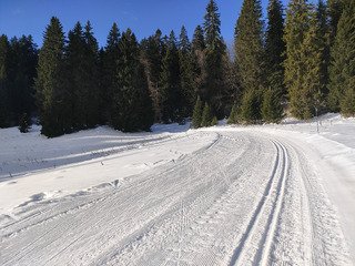 Le ski de fond résiste bien