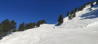 Toujours top pour le carving 