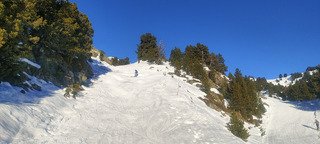 Toujours top pour le carving 