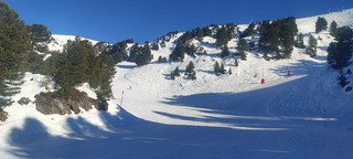 Toujours top pour le carving 