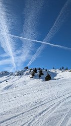 Rendez-vous en terrain bauju !
