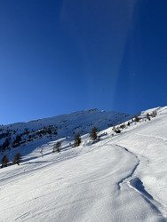 Pas de grand ski, mais le grand air