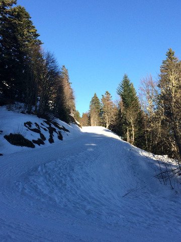 Chartreuse : temps magnifique, neige encore potable mais plus pour long.