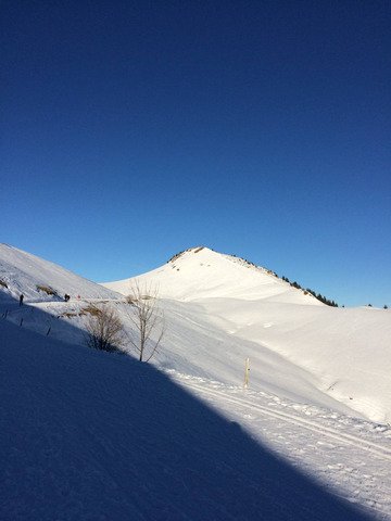 Chartreuse : temps magnifique, neige encore potable mais plus pour long.