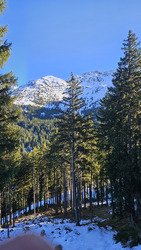 Le drapeau de la tristesse 