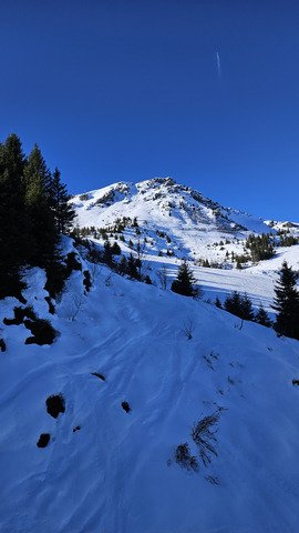 Le drapeau de la tristesse 