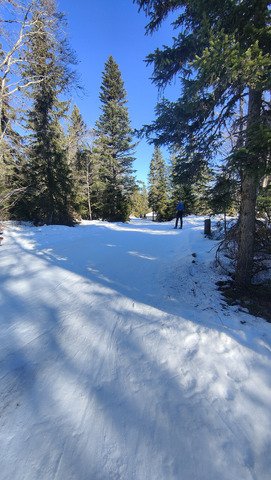 &Ccedil;a tient toujours en ski de fond ! 