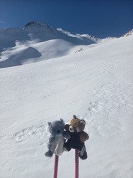 On profite avant l'ouverture 