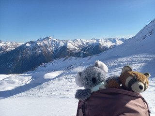 On profite avant l'ouverture 