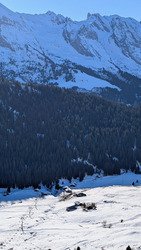 Les boulettes ont disparues...