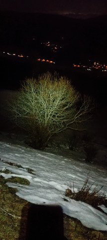 voyage au bout de la nuit