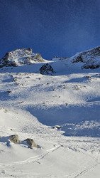 Du b&eacute;ton, des sharks et du ciel bleu