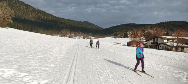 Skating (trop) printannier