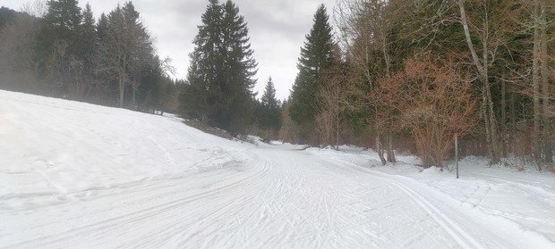 Skating (trop) printannier