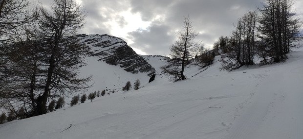 Saison ouverte !.. Au printemps ? 